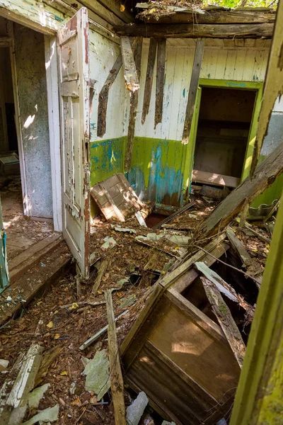 Ruins of house in radioactive dead zone Chernobyl. Destroyed abandoned house grows and dies in forest. Mystical Ruins of house in Chernobyl. Forest, trees absorb, destroy houses. Selective focus