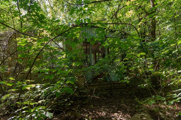 Hausruinen Der Radioaktiven Todeszone Tschernobyl Zerstörtes Verlassenes Haus Wächst Und — Stockfoto