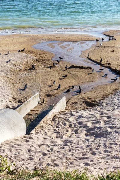 Strandbereich Wird Schlecht Behandeltes Abwasser Der Küste Ins Meer Eingeleitet — Stockfoto