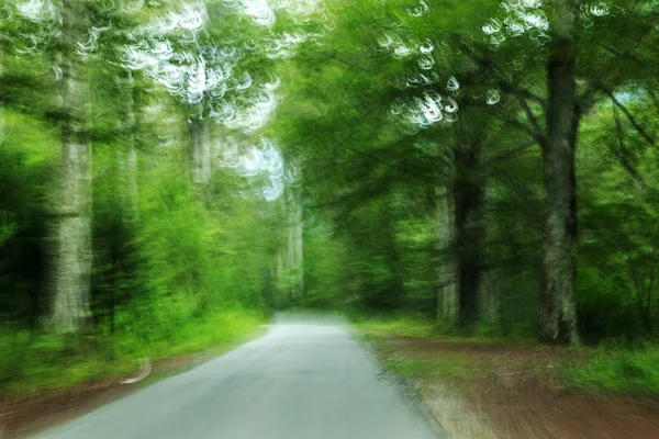 Route Mouvement Flou Dans Forêt Route Floue Estivale Dans Forêt — Photo