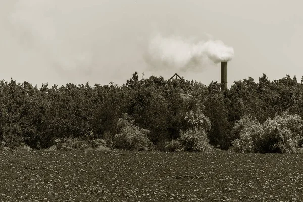 Дым Выбросы Воздуха Промышленных Труб Против Зеленых Деревьев Загрязнение Окружающей — стоковое фото
