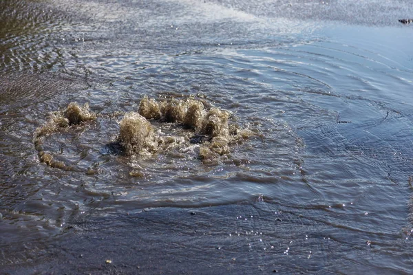 Woda Wypływa Luku Ściekowego Fontanna Kanalizacyjna Wypadek Systemu Kanalizacyjnego Brudna — Zdjęcie stockowe