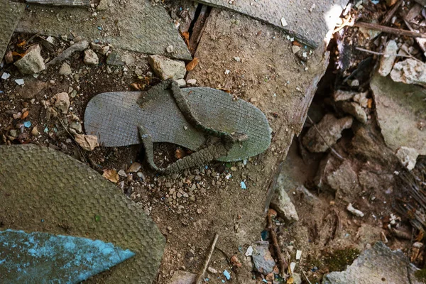 Ερείπια Της Οικίας Ραδιενεργά Νεκρή Ζώνη Του Τσερνομπίλ Καταστράφηκε Εγκαταλελειμμένο — Φωτογραφία Αρχείου