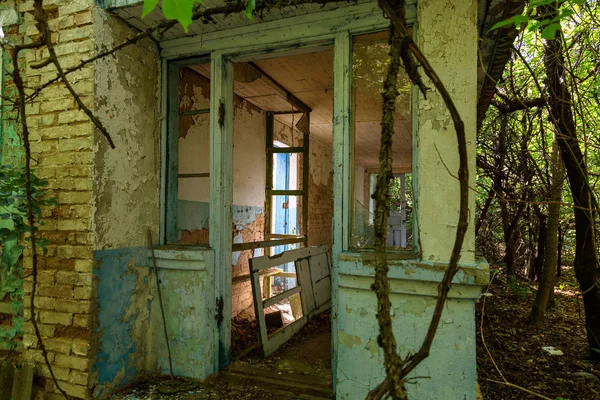 チェルノブイリ放射性デッド ゾーンの家の遺跡 破壊された断念された家は 成長し 森で死にます チェルノブイリの家の神秘的な遺跡 木が吸収する 家を破壊します 選択と集中 — ストック写真