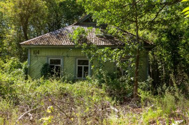 Radyoaktif ölü bölge Chernobyl evde kalıntıları. Yok edilen terk edilmiş evde büyür ve orman içinde ölür. Çernobil'de ev mistik kalıntıları. Orman, ağaçlar absorbe, evleri yok. Seçici odak