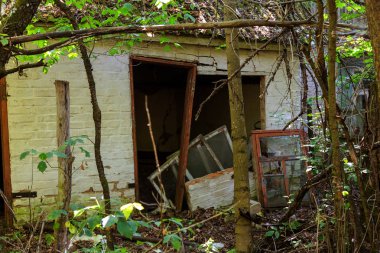 Radyoaktif ölü bölge Chernobyl evde kalıntıları. Yok edilen terk edilmiş evde büyür ve orman içinde ölür. Çernobil'de ev mistik kalıntıları. Orman, ağaçlar absorbe, evleri yok. Seçici odak