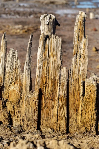 Background Old Wooden Planks Cracks Banks Dried Salty Estuary Old — Stock Photo, Image