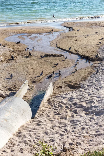 Strandbereich Wird Schlecht Behandeltes Abwasser Der Küste Ins Meer Eingeleitet — Stockfoto