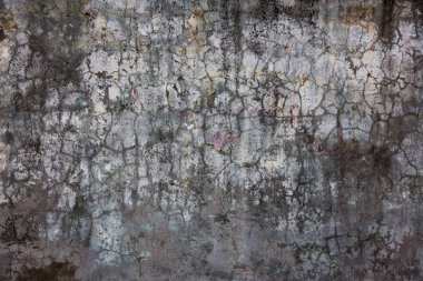 Bir eski yıkılan duvarın büyük büyük çatlaklar. Çatlamak yaratıcı tasarım için arka plan olarak eski bir duvarda arka plan. Bina deprem ve kasırga sonra kırık duvar yıkıldı