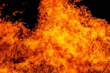 doku ve arka plan geceleri yanan kamp ateşi tarak alev yanan orman yangını ağaçlar güçlü dalları