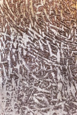 Eski ve karanlık boyalı ahşap arka plan ve doku