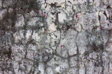 Bir eski yıkılan duvarın büyük büyük çatlaklar. Çatlamak yaratıcı tasarım için arka plan olarak eski bir duvarda arka plan. Bina deprem ve kasırga sonra kırık duvar yıkıldı