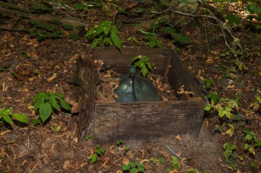 Ölü radyoaktif Çernobil bölgesi kirlenmiş. İnsanlar sol şehir afet sırasında. Eski kırık lamba tüpü ormanda atılmış. Katot elektron ışını Tüp, eski Tv. felaket nükleer santral Çernobil'de kırık.