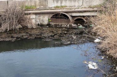 Kirli kanalizasyon ve küçük nehir ev çöpleri, sulama kanalı alg hızlı büyüme neden olur. Su kirliliği. Ekolojik sorun. Sorun plastik. Su kullanımı tehlikelidir, bu yasaktır
