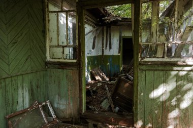 Radyoaktif ölü bölge Chernobyl evde kalıntıları. Yok edilen terk edilmiş evde büyür ve orman içinde ölür. Çernobil'de ev mistik kalıntıları. Orman, ağaçlar absorbe, evleri yok. Seçici odak