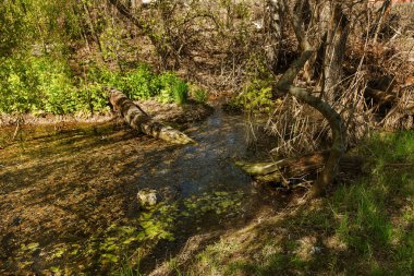 Kanalizasyon kirli, kanalizasyon sistemi doğal genel su birikintisi içine boşaltılır. Ekolojik felaket doğa imha. Kirli kanalizasyon doğal rezervuar yok eder. Sağlık ve temiz su koruma sorunu