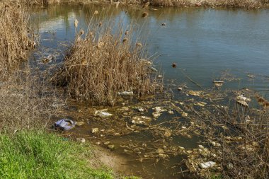 Kirli kanalizasyon ve küçük nehir ev çöpleri, sulama kanalı alg hızlı büyüme neden olur. Su kirliliği. Ekolojik sorun. Sorun plastik. Su kullanımı tehlikelidir, bu yasaktır