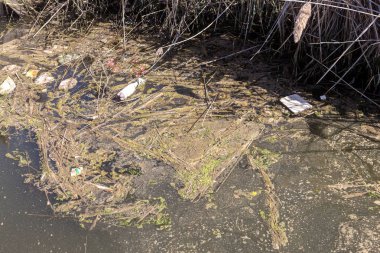 Kirli kanalizasyon ve küçük nehir ev çöpleri, sulama kanalı alg hızlı büyüme neden olur. Su kirliliği. Ekolojik sorun. Sorun plastik. Su kullanımı tehlikelidir, bu yasaktır