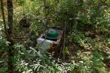 Radyoaktif ölü bölge Chernobyl evde kalıntıları. Yok edilen terk edilmiş evde büyür ve orman içinde ölür. Çernobil'de ev mistik kalıntıları. Orman, ağaçlar absorbe, evleri yok. Seçici odak