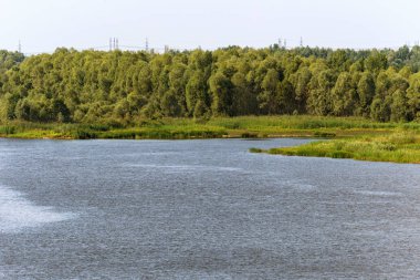 Chernobyl nükleer güç bitki bölge düz Pripyat nehir pastoral manzara. Pripyat nehir lahit üzerinde ayrılmış bir atom reaktörü alanında. Sakin düz manzara. Pripyat Nehri