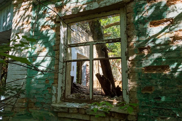 切尔诺贝利放射性死亡区的房屋废墟 被毁的废弃房屋在森林中生长和死亡 切尔诺贝利的神秘房屋废墟 树木吸收 破坏房屋 选择性对焦 — 图库照片