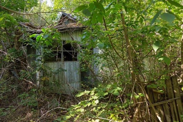 Ruins House Radioactive Dead Zone Chernobyl Destroyed Abandoned House Grows — Stock Photo, Image