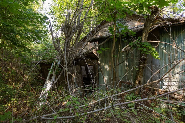 Radioaktív Halott Zóna Chernobyl Ház Romjai Elpusztult Elhagyott Ház Meghal — Stock Fotó