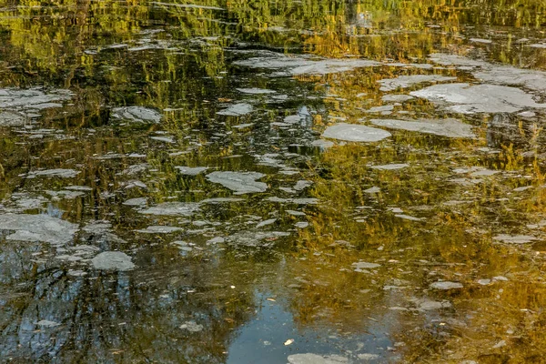 Taches Huile Sale Surface Eau Lac Polluée Par Ruissellement Des — Photo
