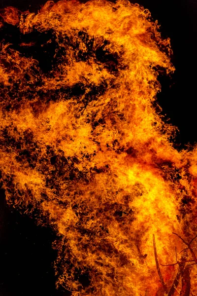 燃烧的篝火 到了晚上 梳理火焰纹理和背景 强的分支燃烧树的一场森林大火 — 图库照片