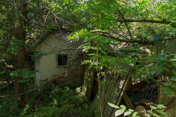 Ruínas Casa Zona Morta Radioactiva Chernobyl Casa Abandonada Destruída Cresce — Fotografia de Stock