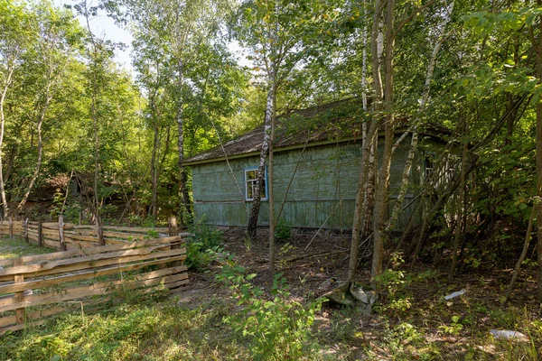 Ruínas Casa Zona Morta Radioactiva Chernobyl Casa Abandonada Destruída Cresce — Fotografia de Stock