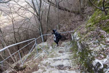 Eski, açık, taştan bir merdiven. Taş, eski merdivenlerin çimento basamaklarında yıpranma ve yıpranma izleri var. Eski taş bir merdiven, eski kırık basamaklar. Seçici odak