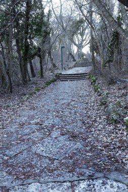 Eski, açık, taştan bir merdiven. Taş, eski merdivenlerin çimento basamaklarında yıpranma ve yıpranma izleri var. Eski taş bir merdiven, eski kırık basamaklar. Seçici odak