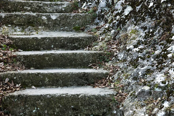 一个古老的开放的外石阶 水泥台阶的旧楼梯与风化和破坏的痕迹 一个古老的石阶 古老的破烂不堪的台阶 有选择的重点 — 图库照片