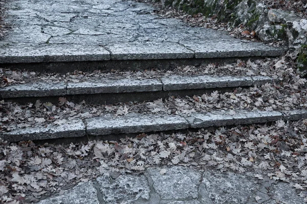 Gammal Öppen Yttre Stentrappa Stenar Cementtrappor Den Gamla Trappan Med — Stockfoto