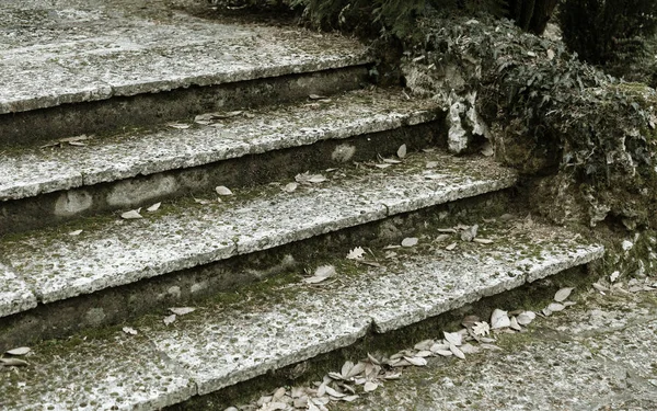 Una Vieja Escalera Piedra Exterior Abierta Piedra Escalones Cemento Vieja — Foto de Stock