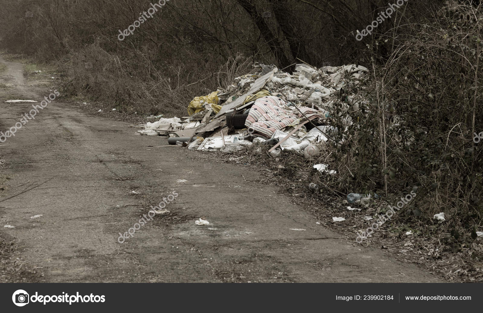 Garbage Forest People Illegally Throw Garbage Forest Concept Man Nature Stock Photo Image By C Alesik Garbage Forest People Illegally Throw Garbage Forest Concept Man Nature Stock Photo Image By C Alesik