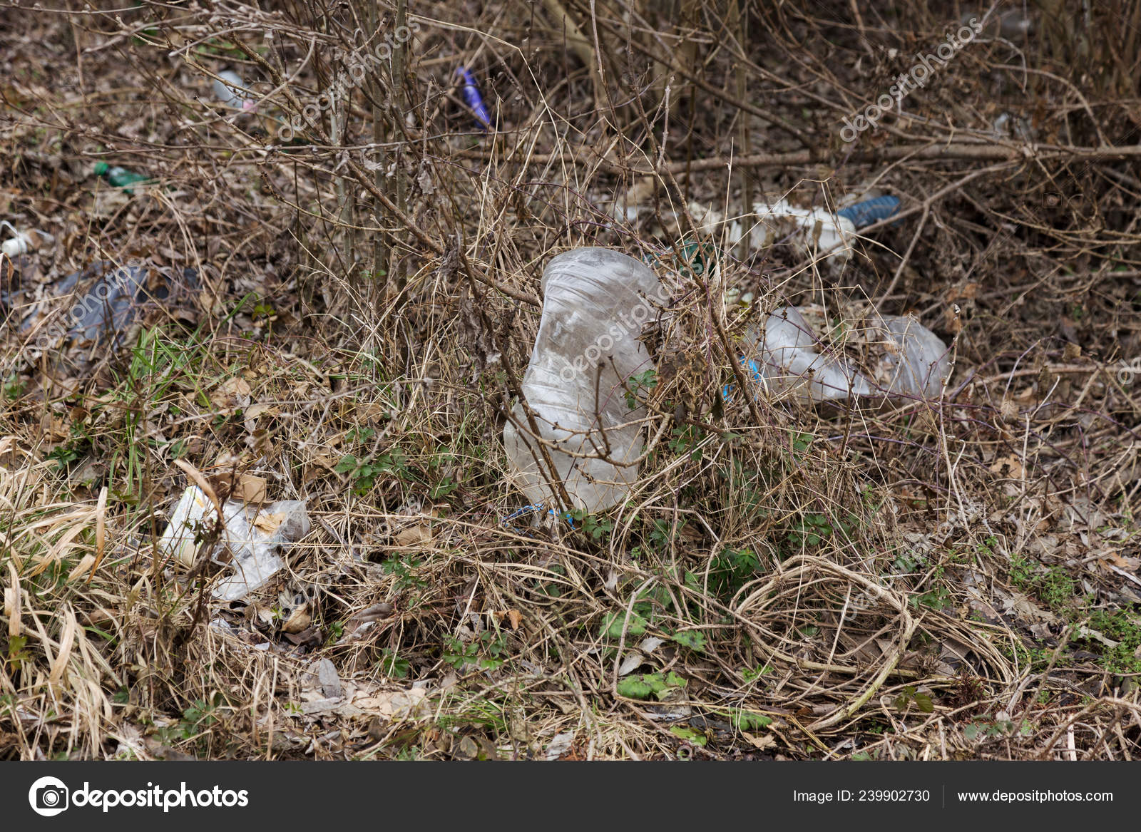 Garbage Forest People Illegally Throw Garbage Forest Concept Man