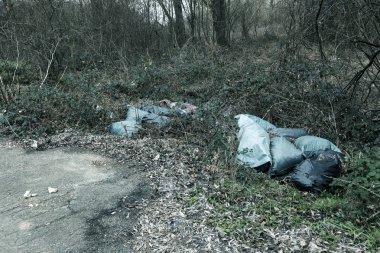 Orman çöpte. İnsanlar yasadışı orman çöp atmak. İnsan ve doğa kavramı. Doğada yasadışı çöplüğü. Orman patika yakınındaki çöp çevre kirletici kirli. Çöp, çöp