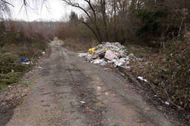 Orman çöpte. İnsanlar yasadışı orman çöp atmak. İnsan ve doğa kavramı. Doğada yasadışı çöplüğü. Orman patika yakınındaki çöp çevre kirletici kirli. Çöp, çöp