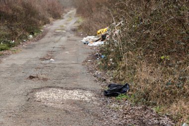 Orman çöpte. İnsanlar yasadışı orman çöp atmak. İnsan ve doğa kavramı. Doğada yasadışı çöplüğü. Orman patika yakınındaki çöp çevre kirletici kirli. Çöp, çöp