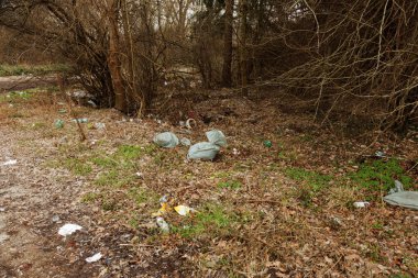 Orman çöpte. İnsanlar yasadışı orman çöp atmak. İnsan ve doğa kavramı. Doğada yasadışı çöplüğü. Orman patika yakınındaki çöp çevre kirletici kirli. Çöp, çöp