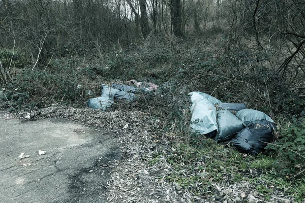 森林里的垃圾 人们非法地把垃圾扔到森林里 人与自然的概念 自然界中的非法垃圾场 森林人行道附近肮脏的环境垃圾污染 — 图库照片