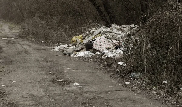 Spazzatura Nella Foresta Gente Butta Illegalmente Spazzatura Nella Foresta Concetto — Foto Stock