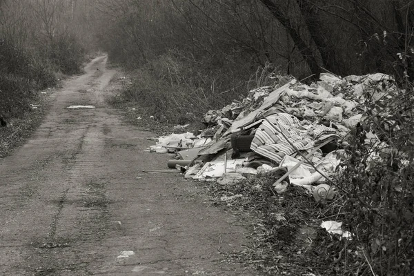 Basura Bosque Gente Tira Ilegalmente Basura Bosque Concepto Hombre Naturaleza —  Fotos de Stock