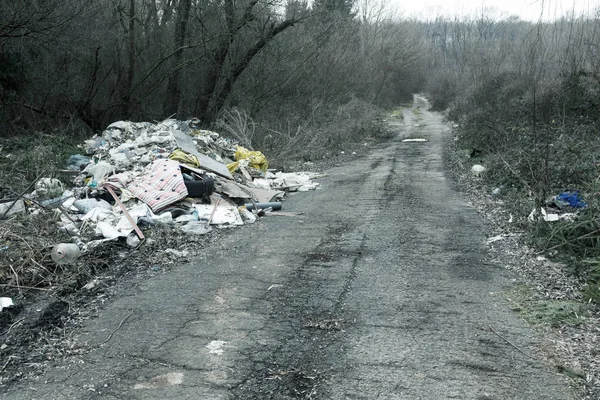 Basura Bosque Gente Tira Ilegalmente Basura Bosque Concepto Hombre Naturaleza —  Fotos de Stock