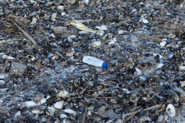 Büyük bir şehrin sahilde dökülen çöp. Boş kirli plastik şişeler kullanılır. Karadeniz'in kirli deniz, kumlu sahili. Çevre kirliliği. Ekolojik sorun