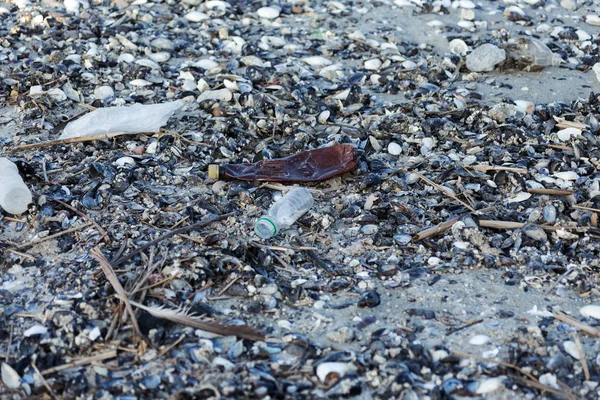 Büyük Bir Şehrin Sahilde Dökülen Çöp Boş Kirli Plastik Şişeler — Stok fotoğraf