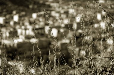 güzel güneş tarafından aydınlatılmış altın kuru ot. Kamp ateşi ışık şehir en iyi görünüm güzel bulanık bokeh arka plan üzerinde sonbahar çimleri Kuru