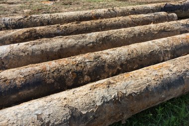 Eski büyük su boruları parçaları. Sonra uzun yıllar çalışma aşınmış metal boru yok. Paslı çelik boru delik metal korozyon ile. Seçici odak.